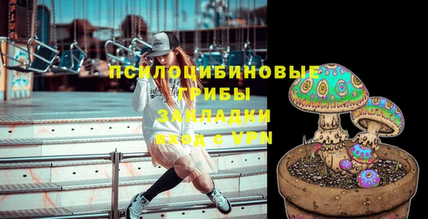 ECSTASY Алзамай