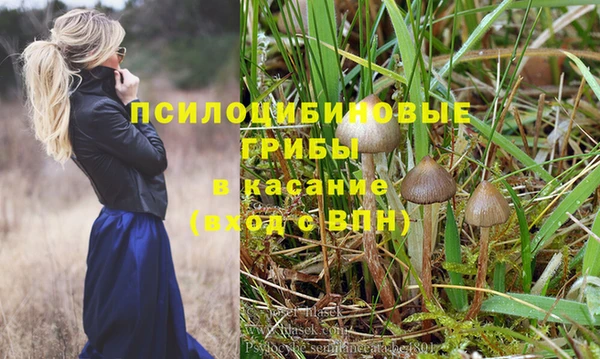 дурь Алексин