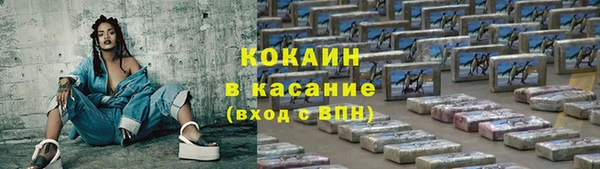 твердый Алексеевка