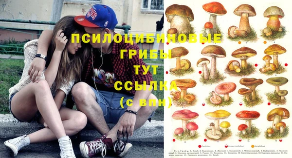 твердый Алексеевка