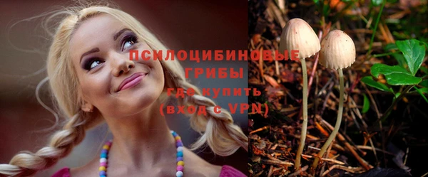 дурь Алексин