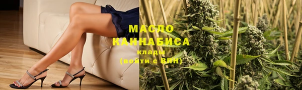 ECSTASY Алзамай