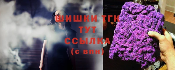 дурь Алексин